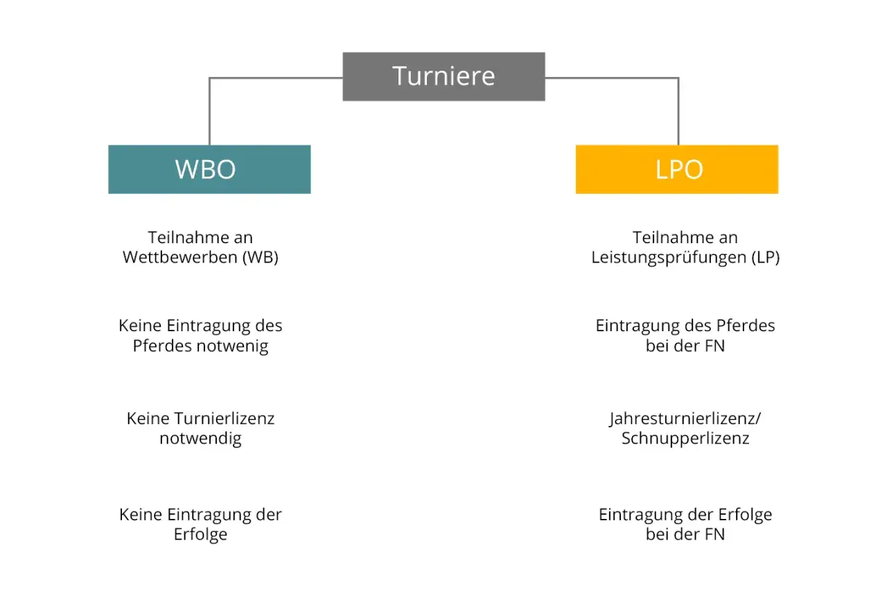 Schema zu Turnieren: WBO für Wettbewerbe ohne Pferde- oder Turnierlizenz, LPO für Leistungsprüfungen mit Eintragungspflichten.
