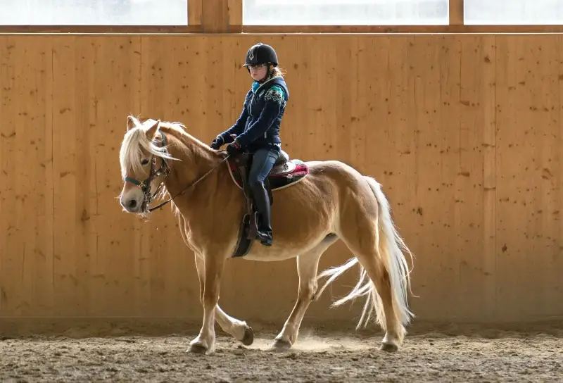 Reiterin mit Helm und Pferd in Reithalle. Beachten Sie die Bahnregeln beim Reiten für Sicherheit und Harmonie.